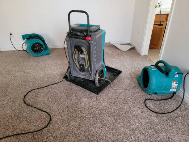 Professional Water damage restoration in Childress, TX