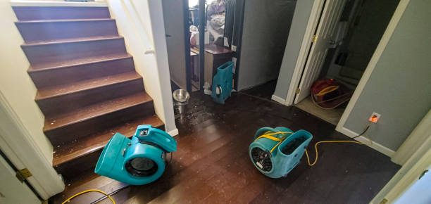 Best Carpet water damage restoration  in Childress, TX