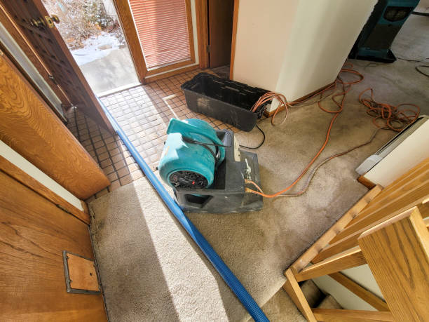  Childress, TX Water damage restoration Pros