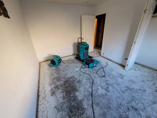 Carpet water damage restoration in Childress, TX