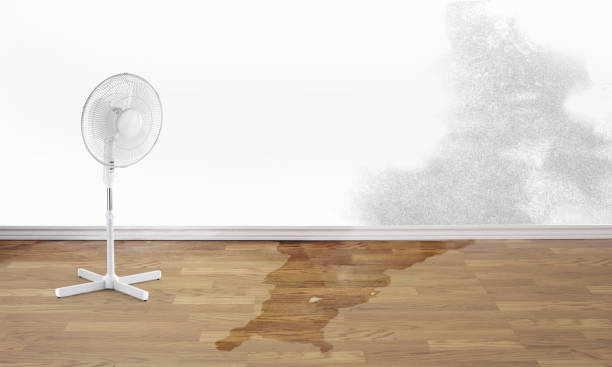 Best Flood damage cleanup  in Childress, TX