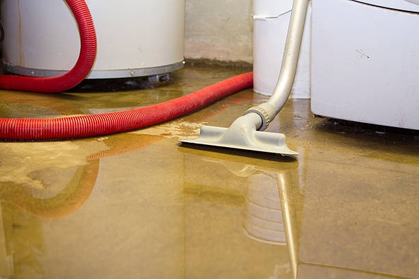 Best Sewage cleanup and water damage restoration  in Childress, TX